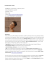 Cutinella Maria Cristina INDIRIZZO: via piagentina