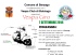 vespa volantino - Comune di Barzago