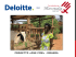 nel 2014 il progetto One Cow