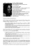 AMBRA MORICONI E-mail: