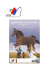 Locandina di presentazione - Federazione Ticinese Sport Equestri