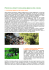 Attività Parco Scuola 2014/2015