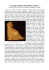 - iststudiatell.org