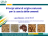 Principi attivi di origine naturale per la concia delle