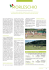 Stampa o scarica PDF