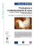 Produzione e confezionamento di uova