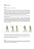 Articolo Golf-Fisio