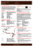Fact Sheet 2016 italiano #FeelTheBush