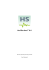 HoliSurface