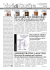 Scarica il PDF - Voci di Cortina