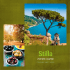 scarica il catalogo