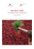 Narrative Label - Slow Food International