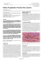 as a PDF