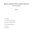 Rapporto preliminare della Commissione Sigma/3AF