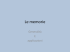 Memorie