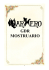 gdr mostruario