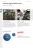 Lame per sega circolare e frese Know-how Bosch