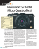 Panasonic GF1 ed il Micro Quattro Terzi