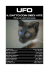 il gatto con dieci vite