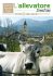 n° 3 MAG - GIU - Federazione Provinciale Allevatori