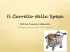 Dott.ssa Cremonini Alessandra