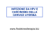 INFEZIONE DA HPV E CARCINOMA DELLA CERVICE UTERINA