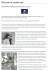 Versione pdf - Circolo Culturale La Torre