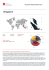 scaricare rapporto - religious freedom report