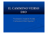 il cammino verso dio
