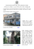 A-estratto bando con foto 572.0 Kb