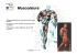 Presentazione Muscoli Sportech 2007