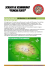 Scarica l`itinerario