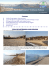 Newsletter ISE VB n 11