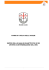 Sintesi delle analisi quantitative e DMV