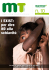 Mani Tese Report n°10 2016