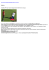 Genera PDF - FootStats