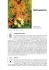 Alstroemeria - Clamer informa