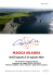 IRLANDA 8 agosto