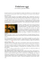 vai all`articolo