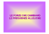 Le forze che cambiano le frequenze alleliche