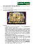 regolamento monty python`s spamalot