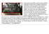 descrizione film - Blow Up – Minerbio