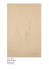Gustav Klimt Studio per ritratto Matita su carta Cm 46,5x37,2