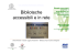 Biblioteche accessibili e in rete