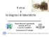 Il virus e la diagnosi