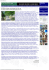 Notizie ValleOlona.com