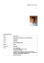 Diego Marutti CV Europeo 2