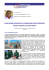 Macrosimulazione - CFCardiologia.it