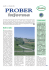 3 PROBER informa dic 2006
