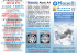N° 4 Michelin Alpin A4
